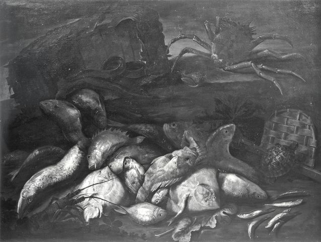 Anonimo — Recco Elena - sec. XVII/ XVIII - Natura morta con pesci, granchio e tartaruga — insieme